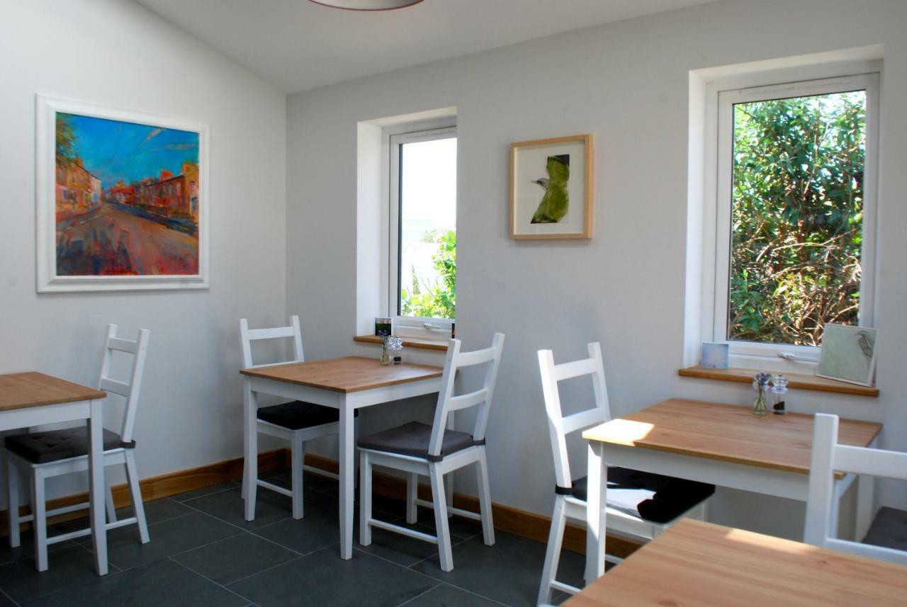 Ty Boia Bed & Breakfast St. Davids  Buitenkant foto